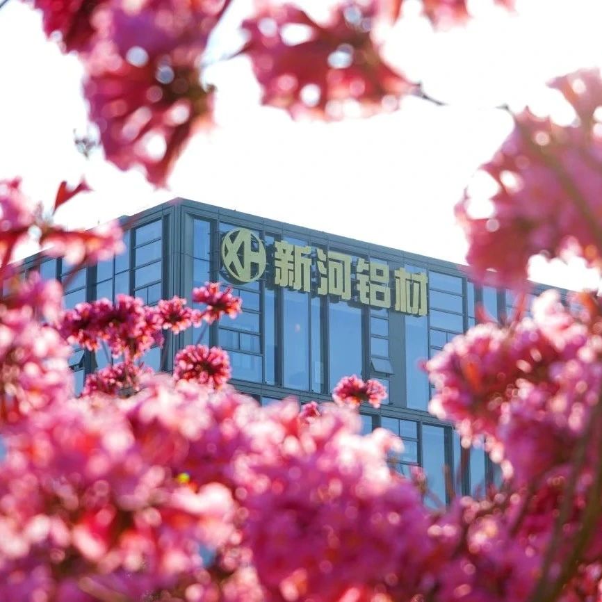 【繁花】新春展新顏，新河煥生機